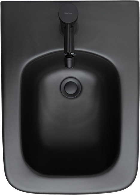 Allen Brau Liberty 4.33010.31 черный матовый