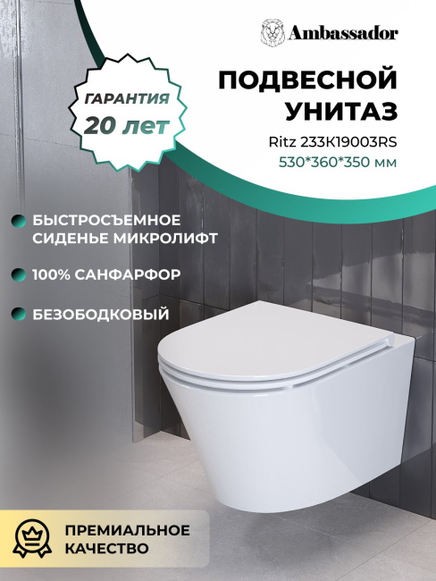 Ambassador Ritz 233K19003RS (530*360*350) подвесной безободковый, 2 места