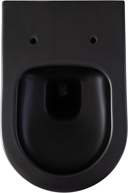 Allen Brau Priority 4.31001.31 черный матовый