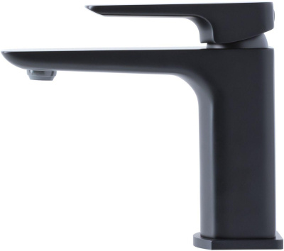 Allen Brau Infinity 5.21001-31 черный матовый