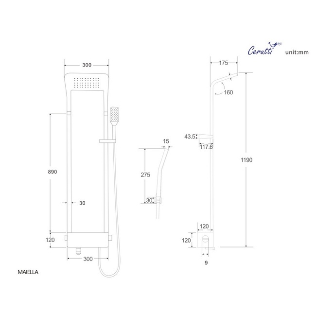 Ceruttispa MAIELLA B CT8985
