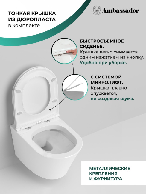 Ambassador Ritz 233K19003RS (530*360*350) подвесной безободковый, 2 места