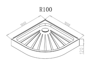 Ceruttispa R100